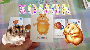Буква Х + СКАЗКА про букву Х