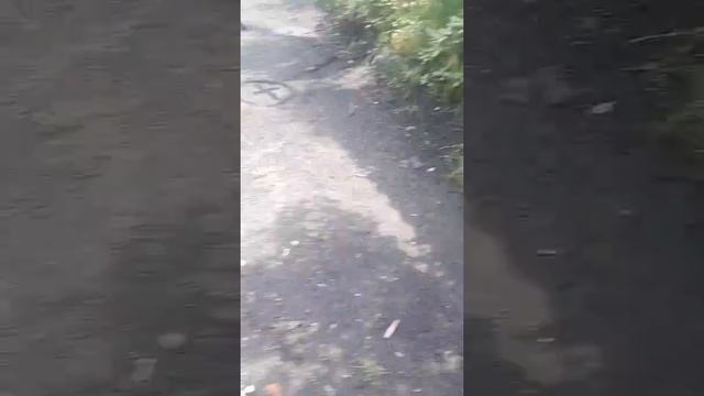 Как вызвать Слендермена: 1 часть смотреть онлайн