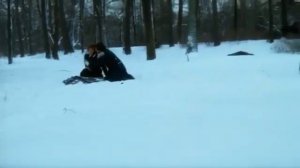 ПУШКИН Последняя дуэль