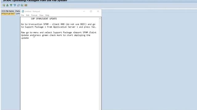 SAP SPAM SAINT UPDATE смотреть онлайн