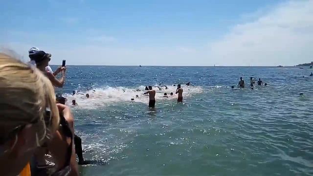 Плавание Мастерс, открытая вода, Одесса 2016. Мужчины 2км смотреть онлайн