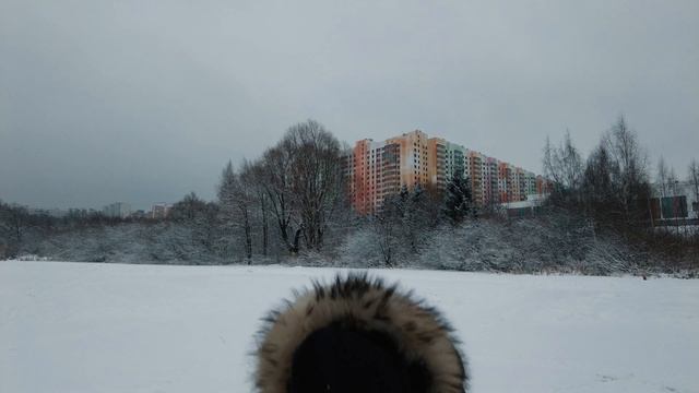 НОВЫЙ ГОД, СДЕЛАЛИ СВОЙ КАТОК, новая камера смотреть онлайн