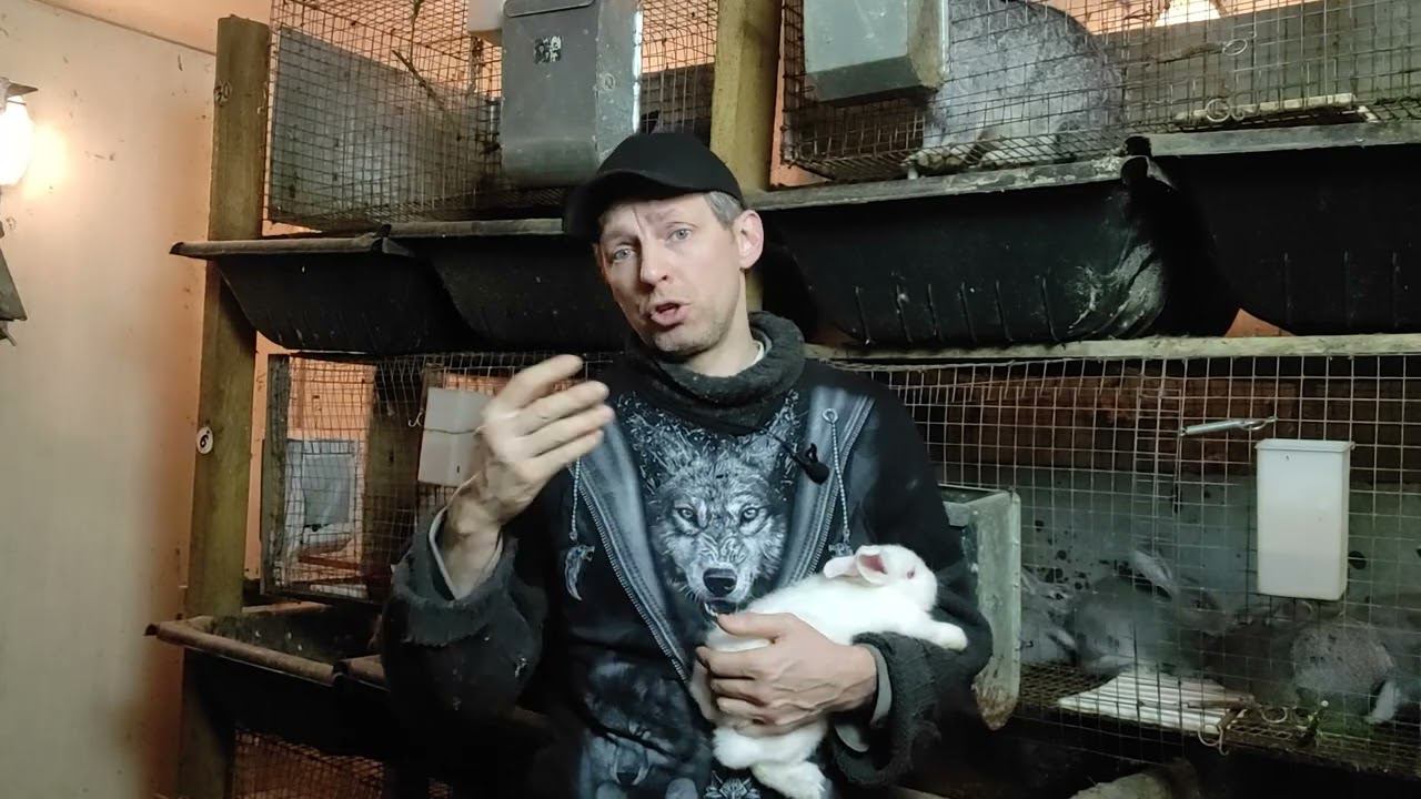 Падёж кроликов. Что делать? смотреть онлайн