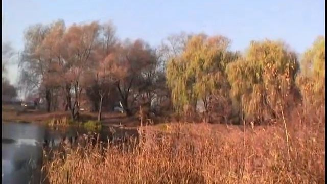 Обзор картин природы смотреть онлайн