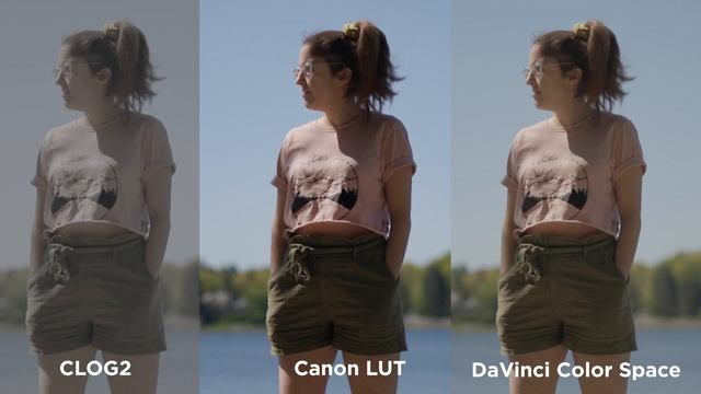 When to use Clog2 vs Clog3 | C70 Comparison смотреть онлайн