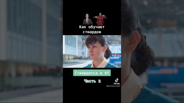 Как обучают стюардесс ? смотреть онлайн