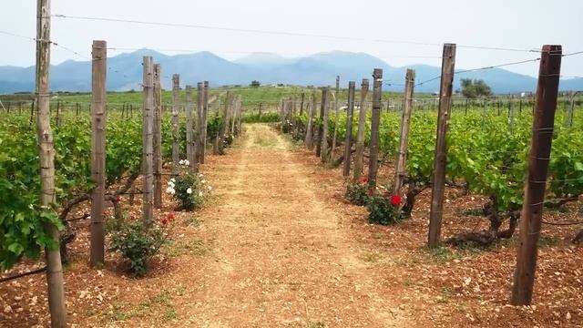 Тёмные сущности. Страшные. Мистические. Творческие истории. Хоррор смотреть онлайн