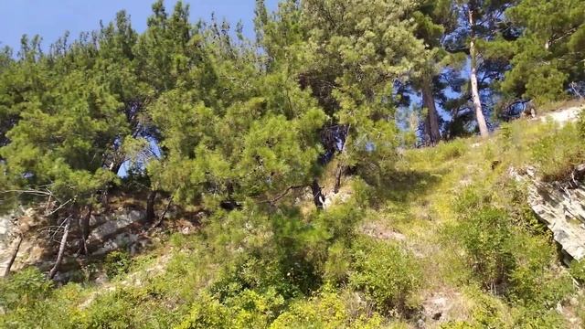 Острова - удивительный остров, где причаливал Флинт, где бывал Робинзон (16.09.2023)