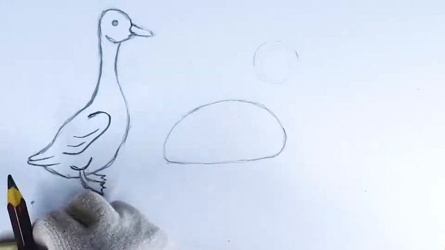 How to draw a duck/ Как нарисовать утку/ Cómo dibujar un pato смотреть онлайн