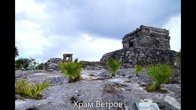 МЕКСИКА. Экскурсия в заброшенный город в джунглях #Коба, город-порт майя #Тулум, деревня-парк #Танк смотреть онлайн