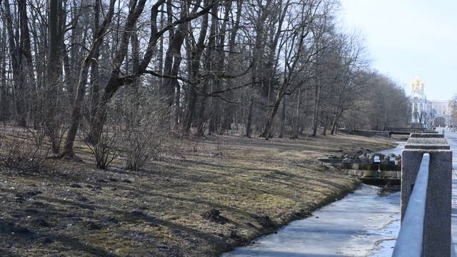 ВЕСНА ИДЁТ- ВЕСНЕ ДОРОГУ Футаж смотреть онлайн