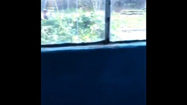 video 28 10 19 08 10 смотреть онлайн