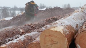 «ГИДРООКОРКА» бревна для сруба. Обработка бревен гидроударом на производственной  площадке.
