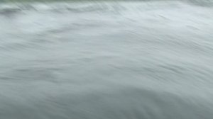 Подводные просторы России №9. В гостях у Кулибы