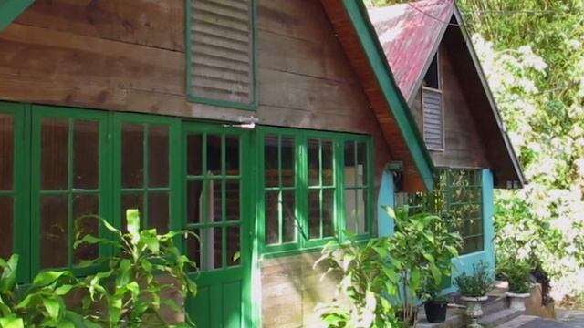 Best Places to Visit in Trinidad and Tobago смотреть онлайн