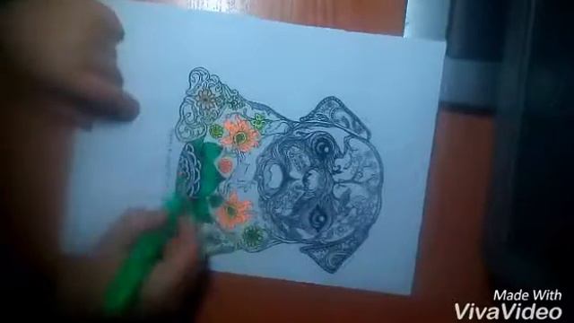 разукрашка анти стресс (помой му ее так называют) смотреть онлайн