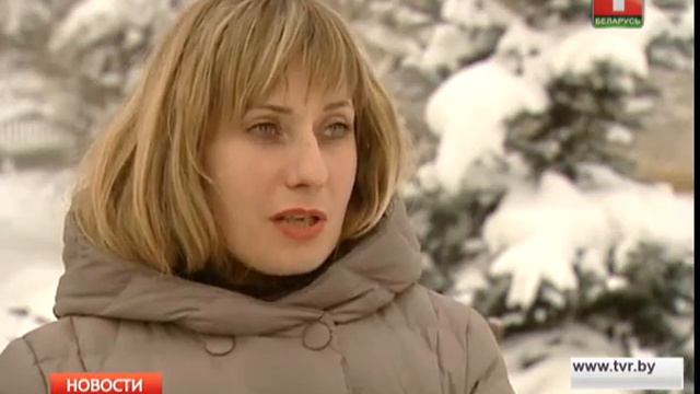 В Щомыслице поселился лось смотреть онлайн