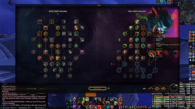 Feral Druid 10.0.5 Builds Stats, Priorities смотреть онлайн