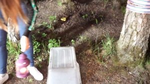 НОЧЬ в доме из Пленки на ДЕРЕВЕ СПУСТЯ ГОД ОПЯТЬ В ГРОЗУ | Elli Di