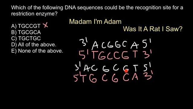 How to recognize a recognition site for a restriction enzyme смотреть онлайн
