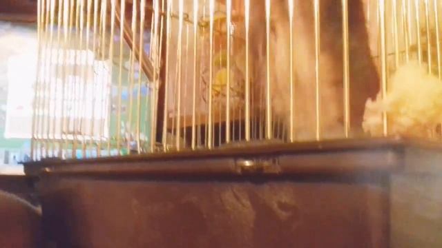 Ну миксер!Руби.