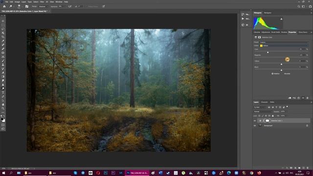 СВЕТ И ЦВЕТ в Photoshop (обрабатываем фотографию) смотреть онлайн