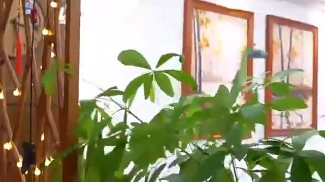 TX268 Mini Drone Dron with Camera смотреть онлайн