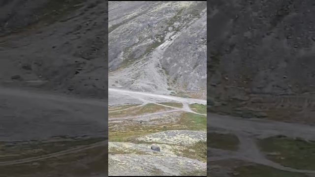 Хибины#горы#хибины#тойота#природа#перевал