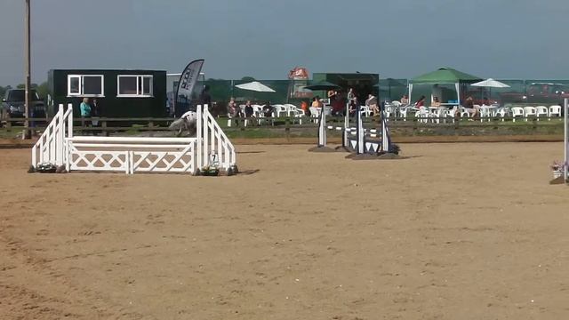 Pickmere Da Vinci 10th 95cm warm up смотреть онлайн