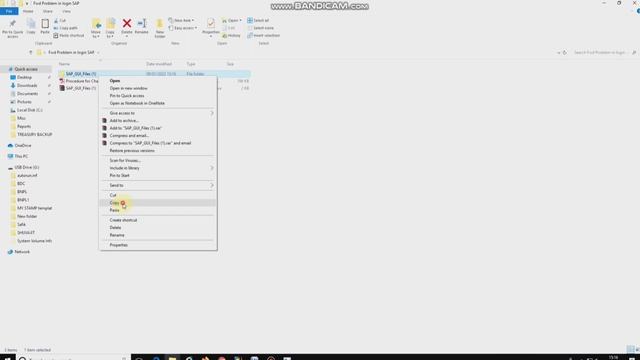 SAP Log on new process of DoP смотреть онлайн