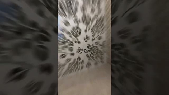 Зонирование комнаты перегородками #зонирование #перегородки #перегородка #ростовнадону смотреть онлайн