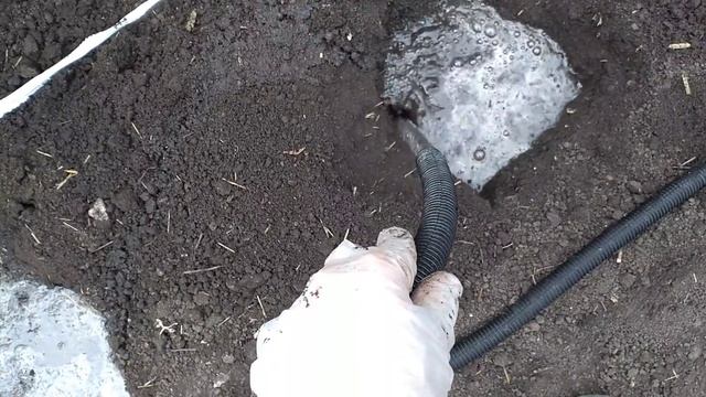 Добавьте ЭТО в лунки. БЕШЕНЫЙ рост Мощный урожай Обеспечен