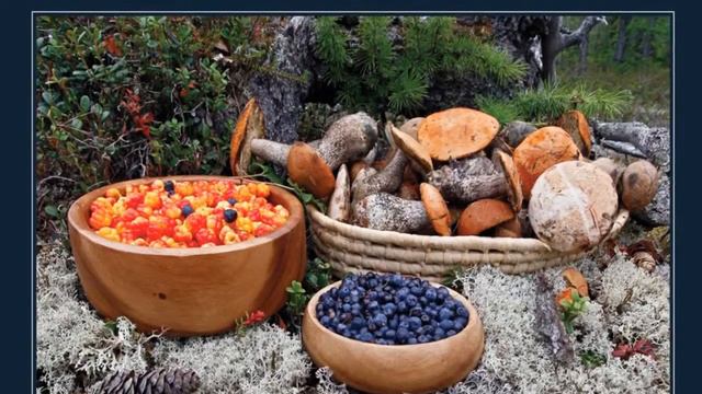 Мой многонациональный Ямал смотреть онлайн