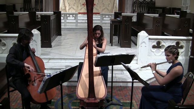 Canon in D by J. Pachelbel for flute, cello and harp смотреть онлайн