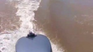 Лодка Флинк 320 + Ямаха 5