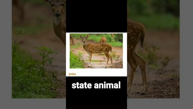 Symbols of Telangana смотреть онлайн