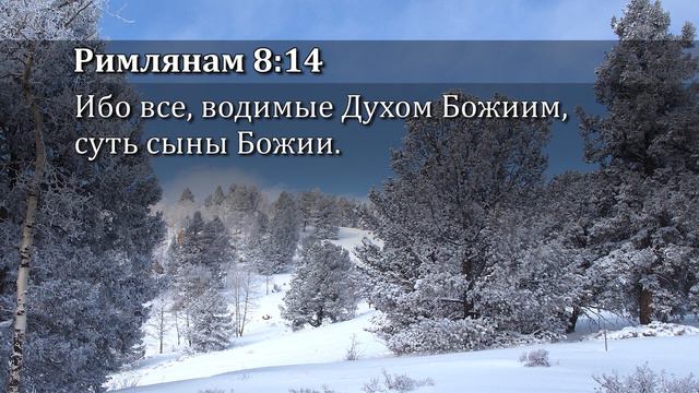 27. Благодать - сила Евангелия смотреть онлайн