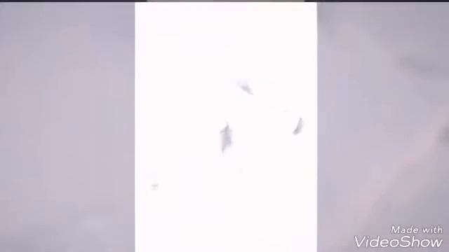Прогулка на природе! смотреть онлайн