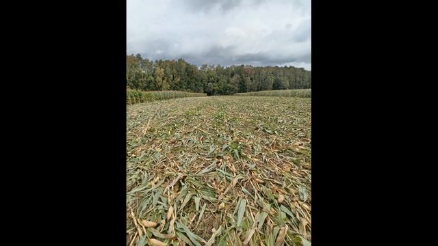 Крайняя западная точка минского района смотреть онлайн