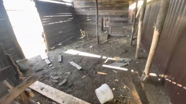 Результат откорма овец! Бюджетный сарай на зиму смотреть онлайн