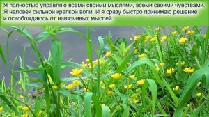 Исцеление от навязчивых мыслей  Для женщин  Настрои Сытина Г.Н.