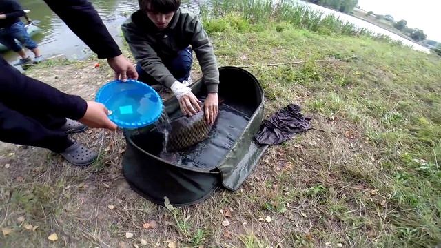 Карпфишинг, ловля карпа на диком водоеме. смотреть онлайн