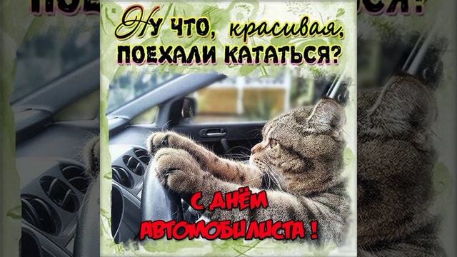 С днём автомобилиста смотреть онлайн