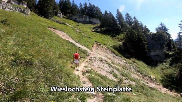Austria Waidring 4K Summer 2019 смотреть онлайн