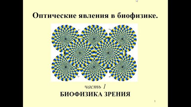 8:00 Биологическое действие электромагнитных факторов Оптические явления в биофизике смотреть онлайн