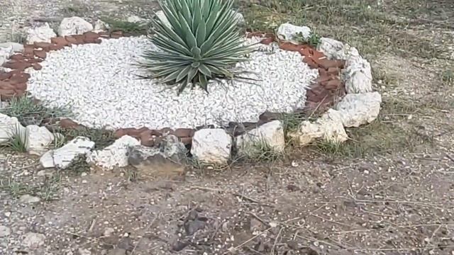 Memories Caribe - The Whole Shabang! Cayo Coco, Cuba смотреть онлайн