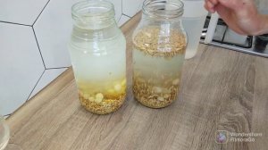 живой овсяный и ячменный квас