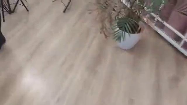 Салон красоты в центре Казани смотреть онлайн