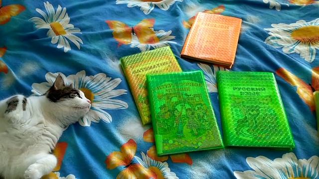 Котик Лаваш готовится к школе. Обложки на учебники для 3 класса смотреть онлайн