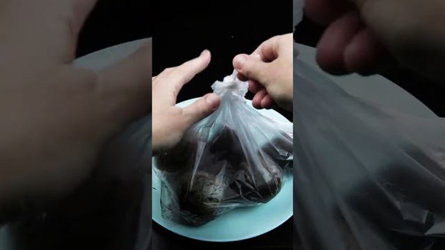 Рецензии на Книги и Литературу